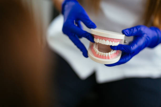 Best Traditional Braces  in Buckingham, FL